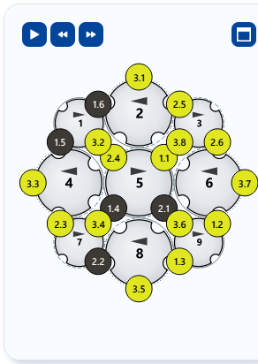 Setup overview of a packing braid with nine horngears, colored carriers and the animation buttons