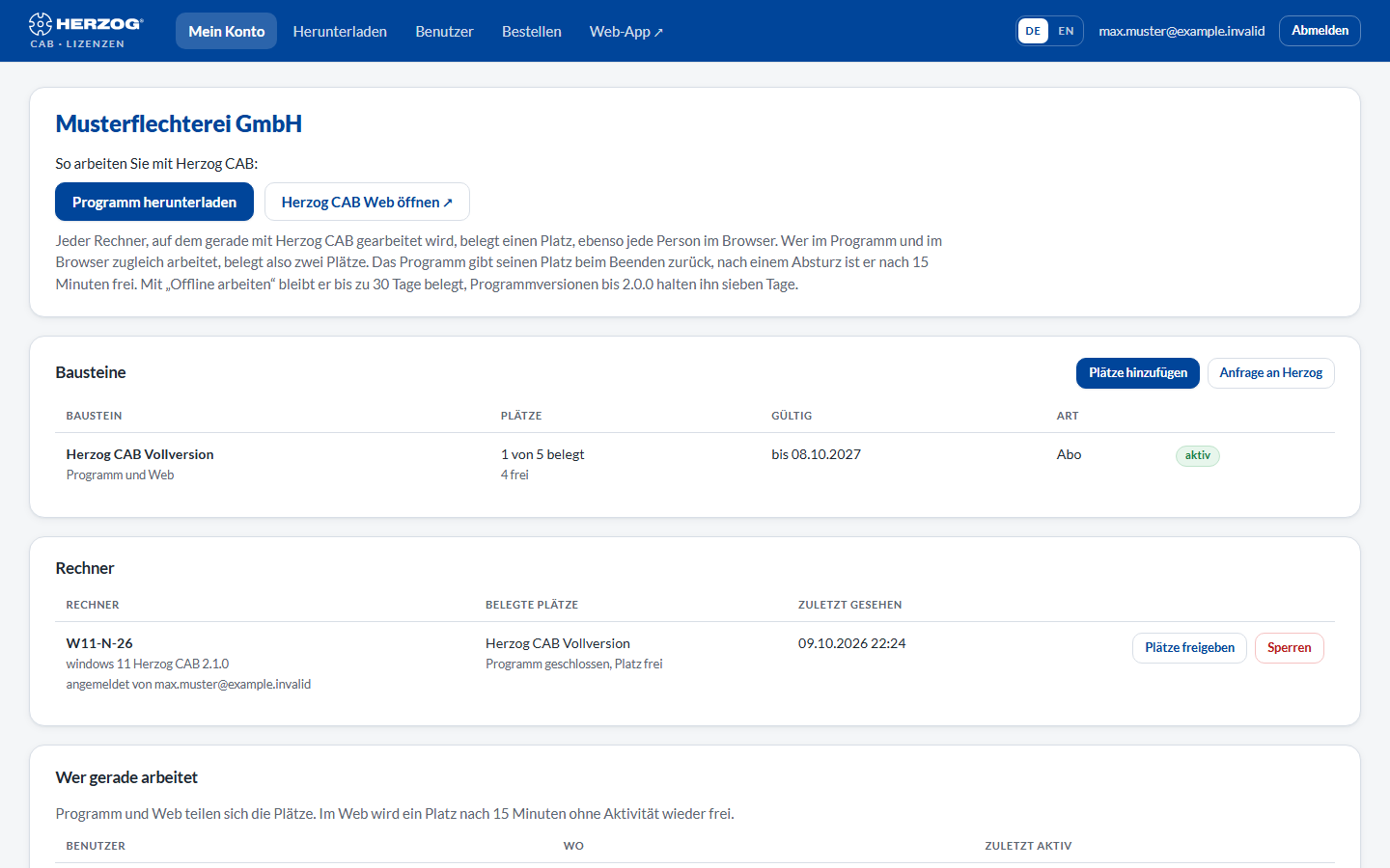 Sign-in page of the licence portal with e-mail address, password and the "Forgot password" link.
